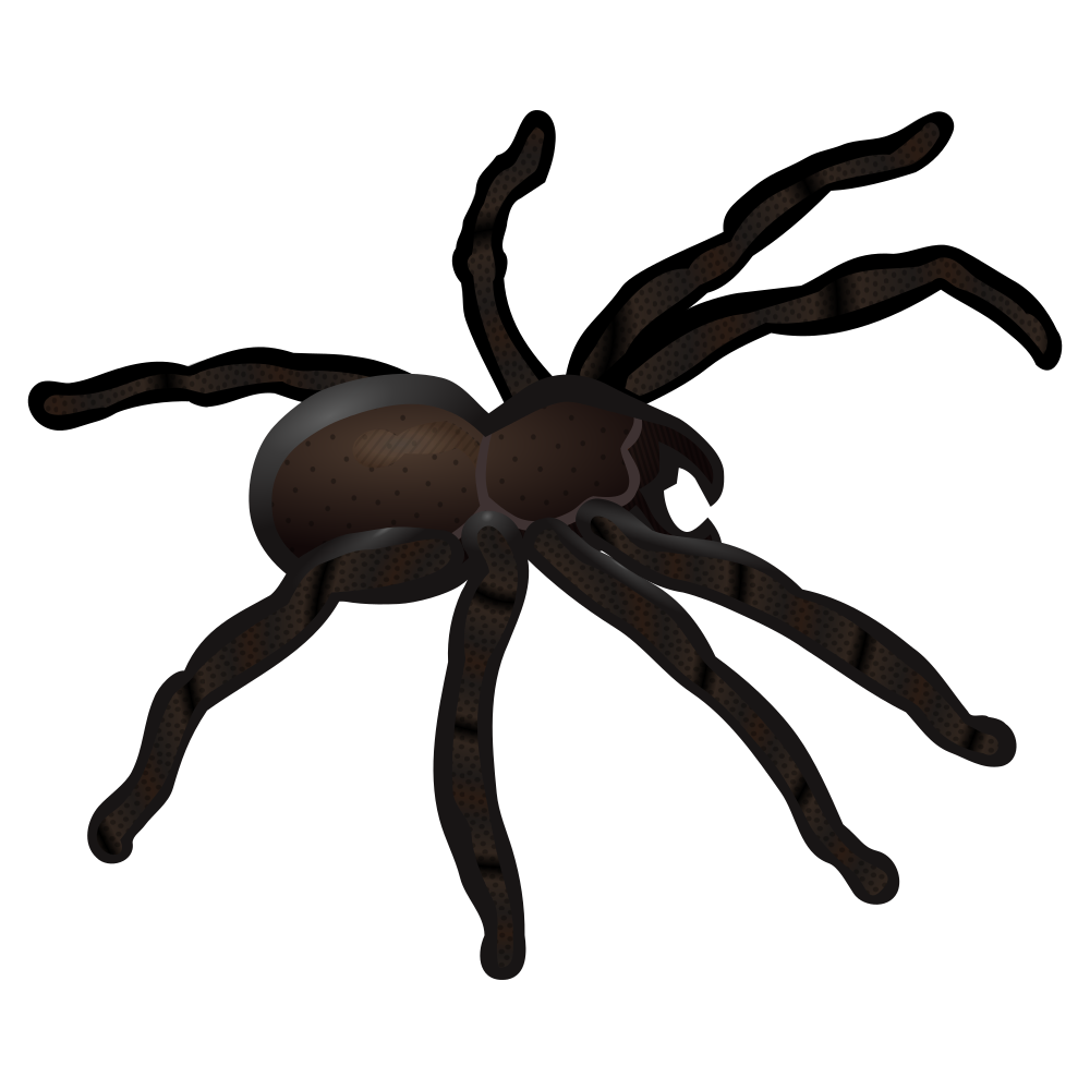 What is Spider Storage Engine