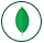MongoDB